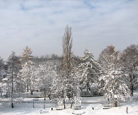 2007-11-17 09.59.53